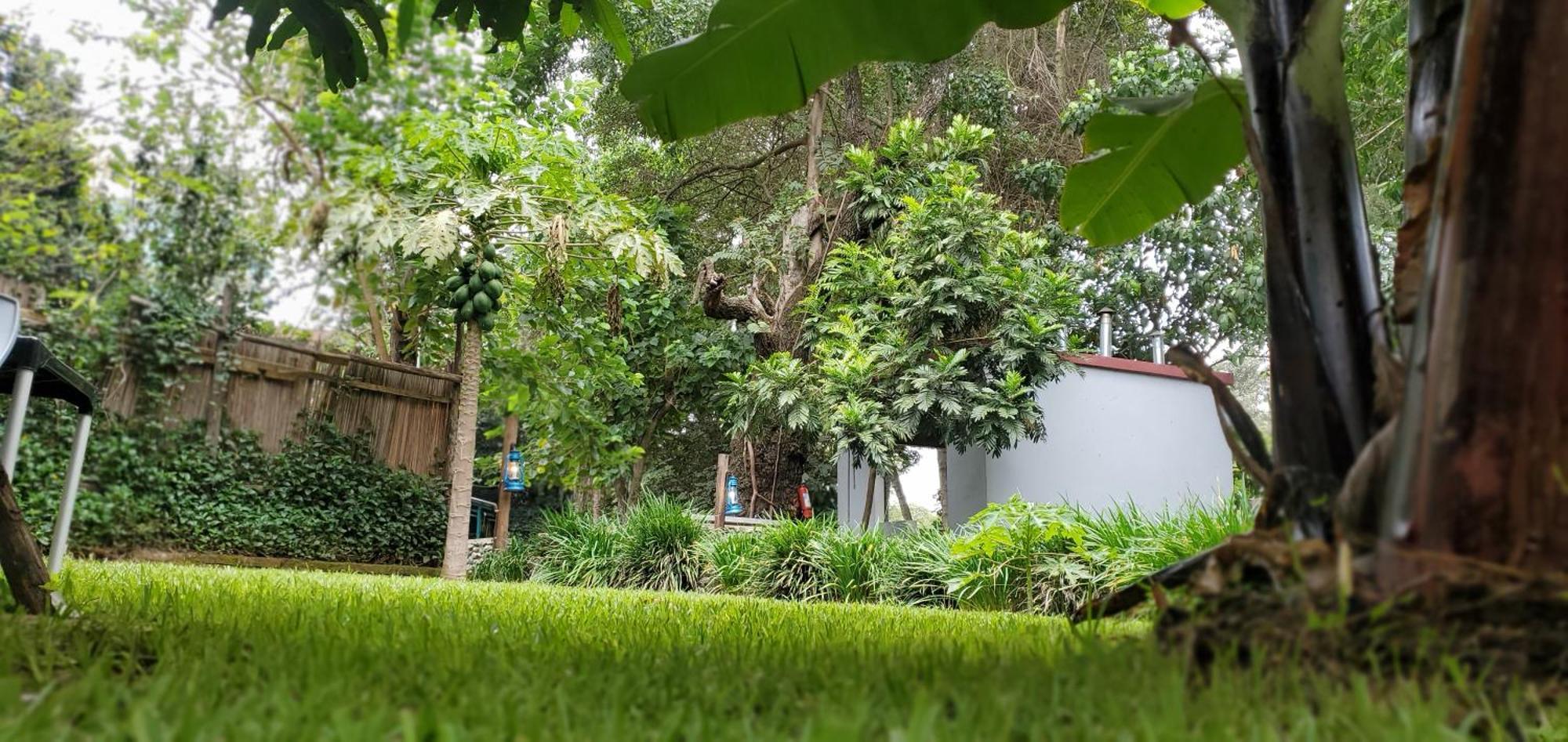 بيت شباب Kizumba House أروشا المظهر الخارجي الصورة